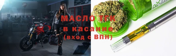 СК Алексин