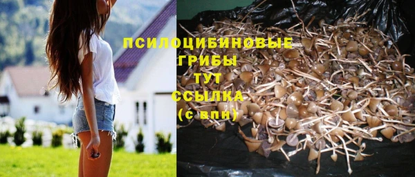СК Алзамай
