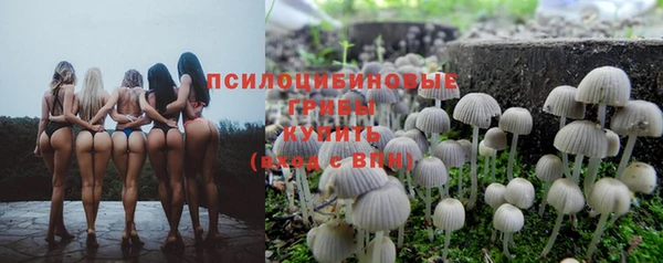 СК Алексин