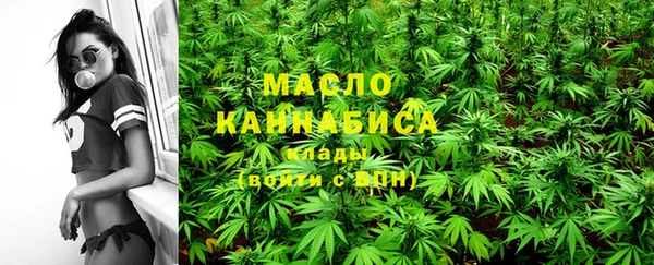 СК Алексин