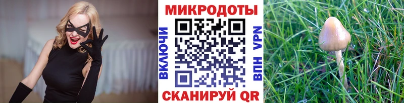 Галлюциногенные грибы Psilocybe Усинск
