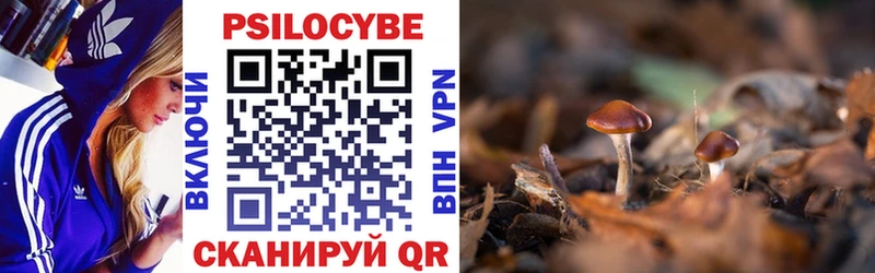 купить наркотики цена  гидра ССЫЛКА  Галлюциногенные грибы GOLDEN TEACHER  Усинск 